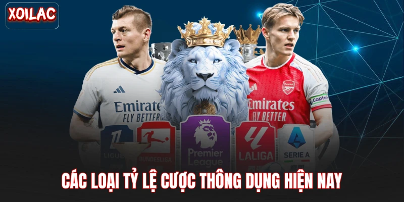 Các loại tỷ lệ cược thông dụng hiện nay