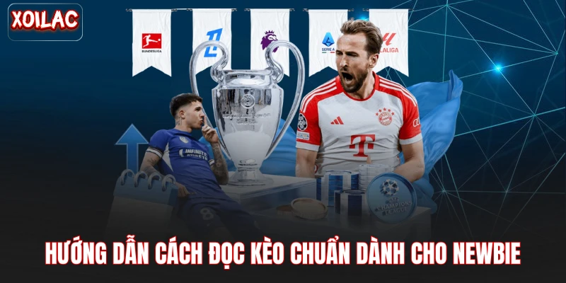Hướng dẫn cách đọc kèo chuẩn dành cho newbie