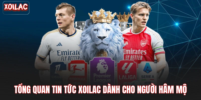 Tổng quan tin tức Xoilac dành cho người hâm mộ